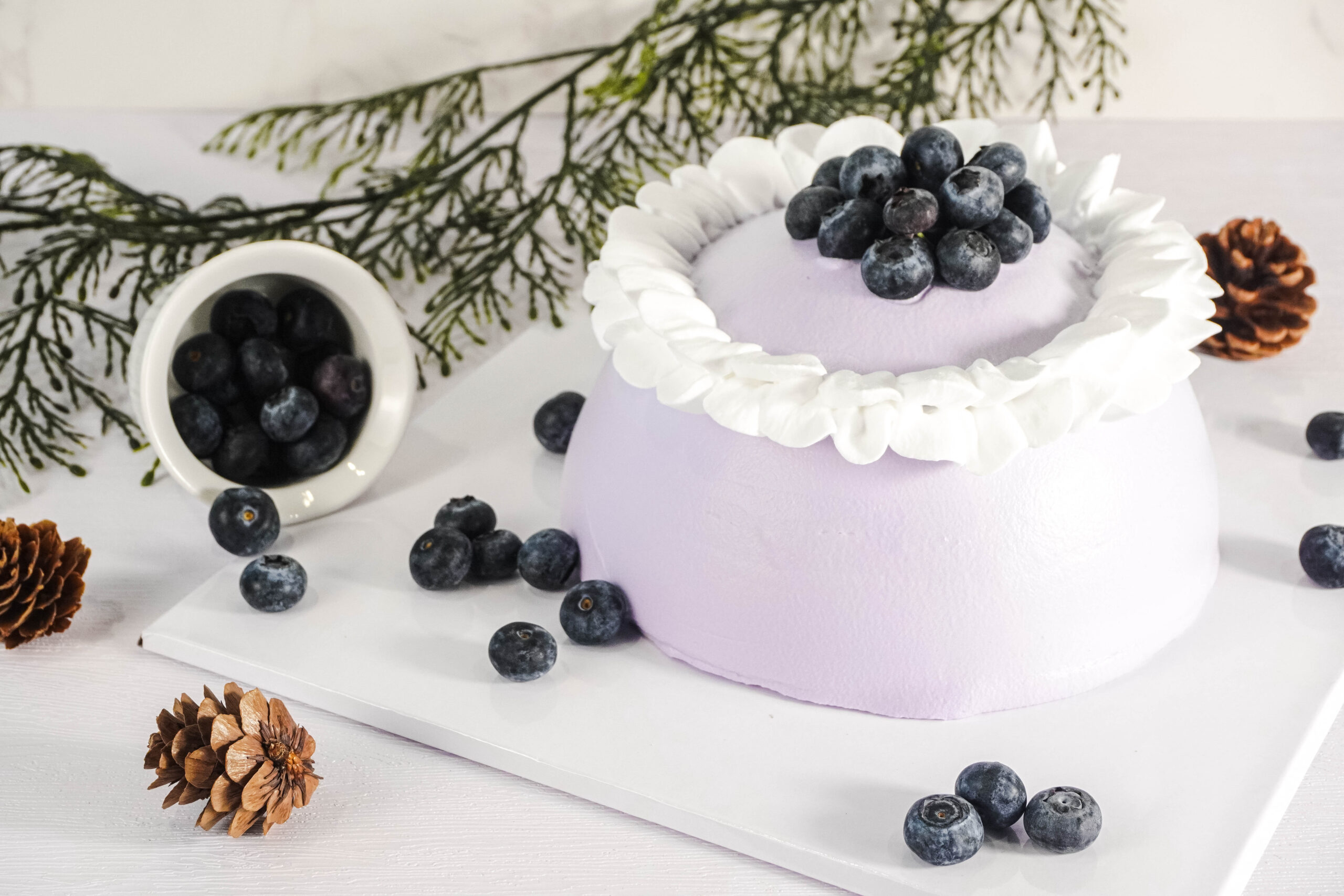 Blueberry Cheesscake Dome
